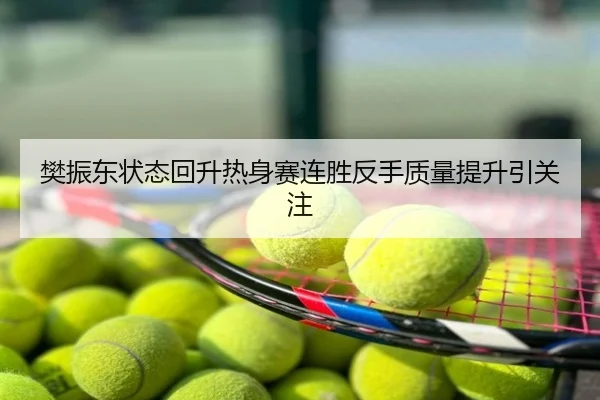 樊振东状态回升热身赛连胜反手质量提升引关注